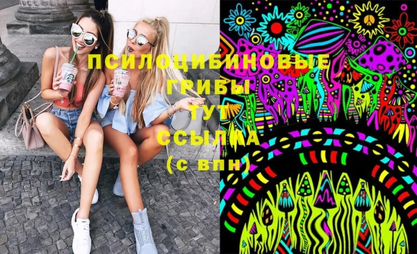 mix Инта