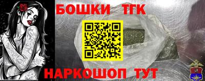 крисы Новозыбков