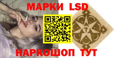 крисы Новозыбков
