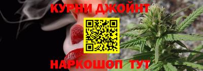 крисы Новозыбков
