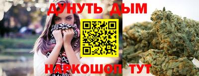 крисы Новозыбков