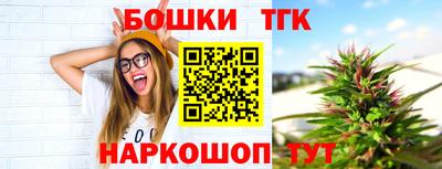 крисы Новозыбков