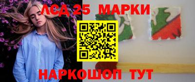 гидропоника Новокубанск