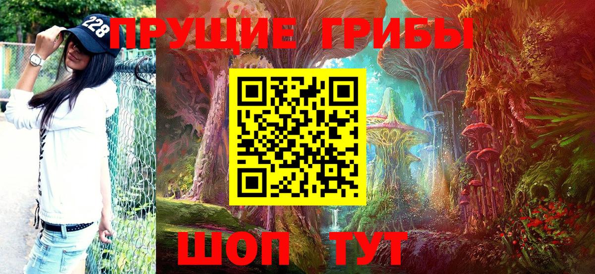Тула  Псилоцибиновые грибы Psilocybe  Вход с VPN 